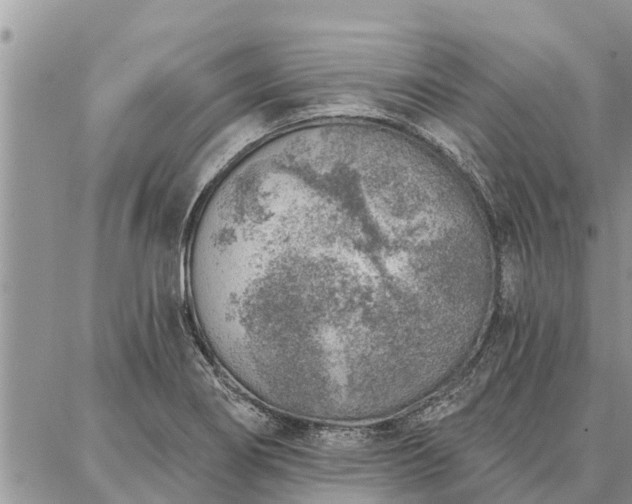 X0000086931274200704231321