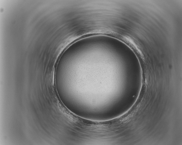 X0000086931276200704231321