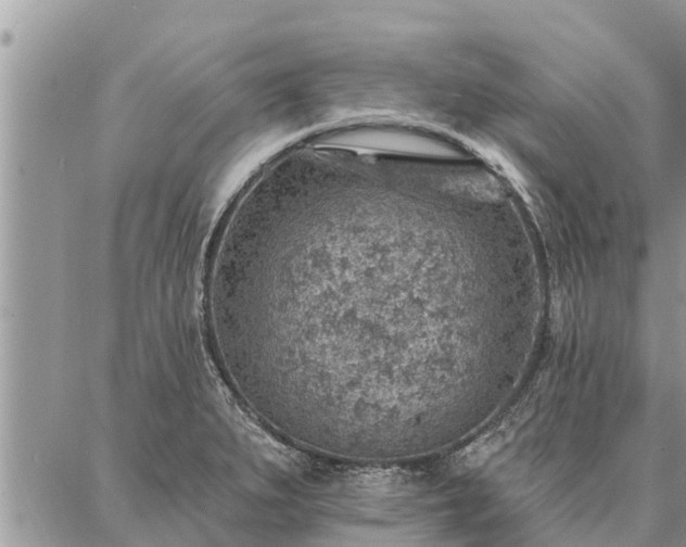 X0000086931279200704231321