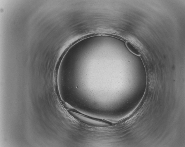 X0000086931280200704231321