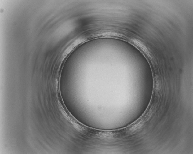 X0000086931282200704231321