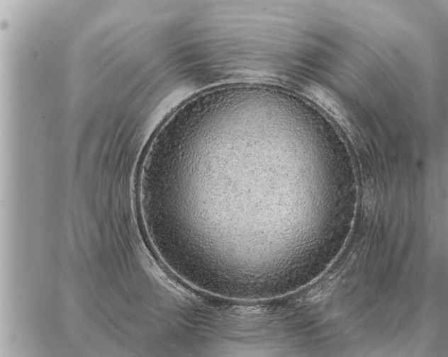 X0000086931283200704231321