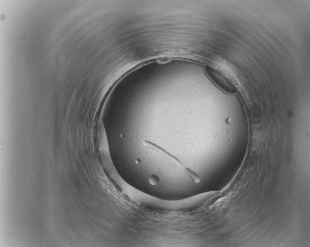 X0000086931284200704231321