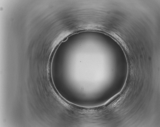 X0000086931285200704231321