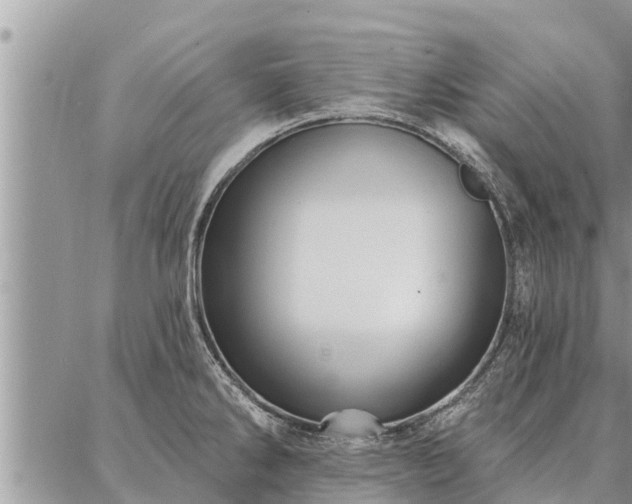 X0000086931286200704231321