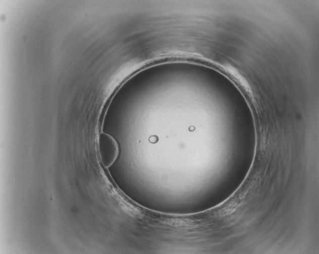 X0000086931287200704231321