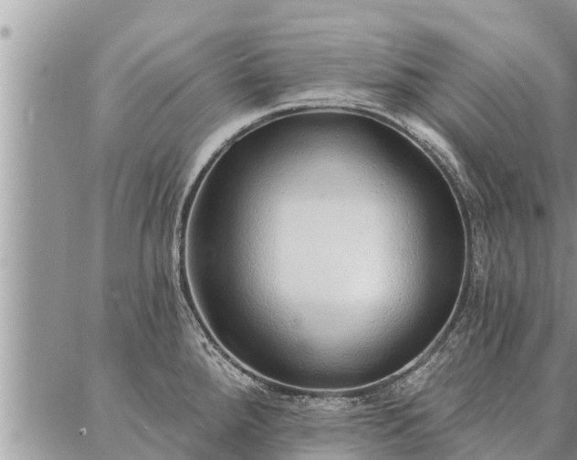 X0000086931288200704231321