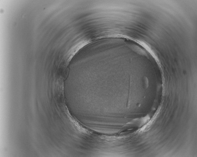 X0000086931289200704231321