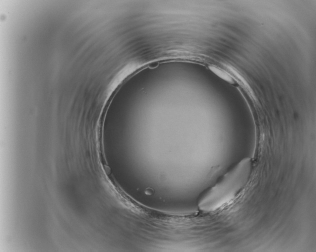 X0000086931291200704231321