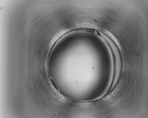 X0000086931293200704231321