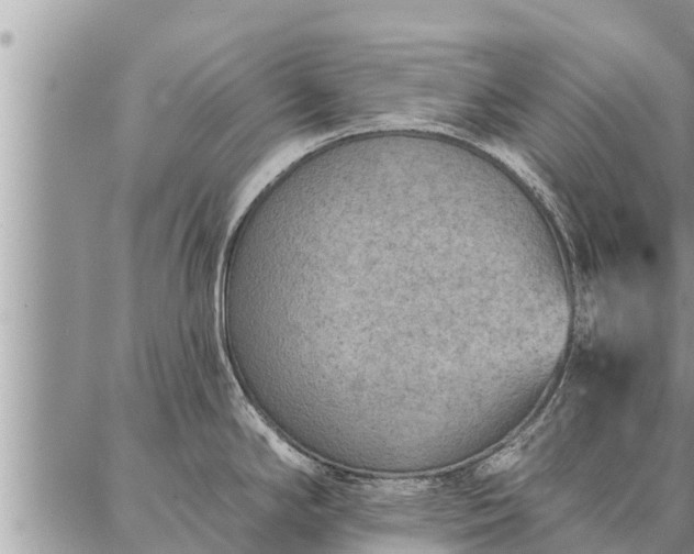 X0000086931294200704231321