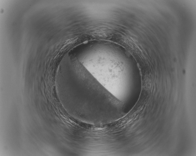 X0000086931297200704231320