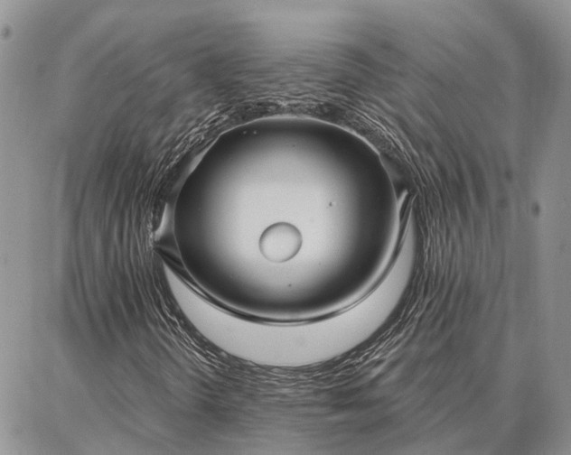 X0000086931298200704231320