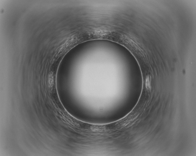 X0000086931299200704231320