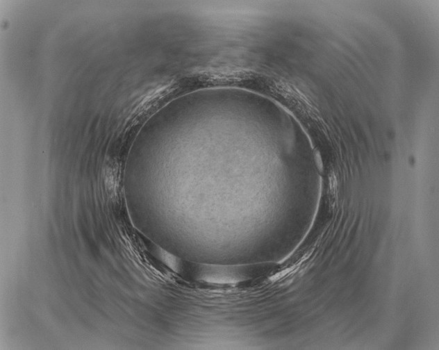 X0000086931300200704231320