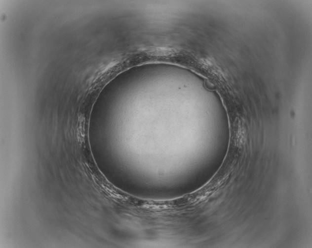 X0000086931301200704231320