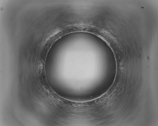 X0000086931302200704231320