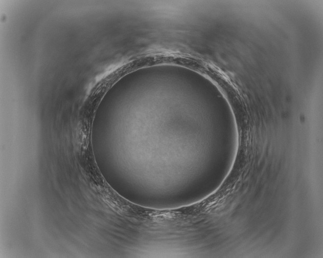 X0000086931303200704231320