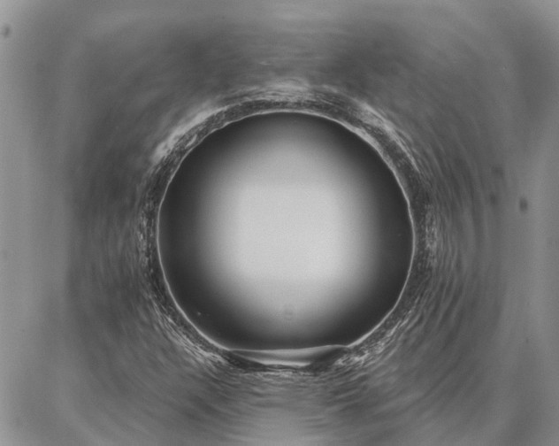 X0000086931304200704231320