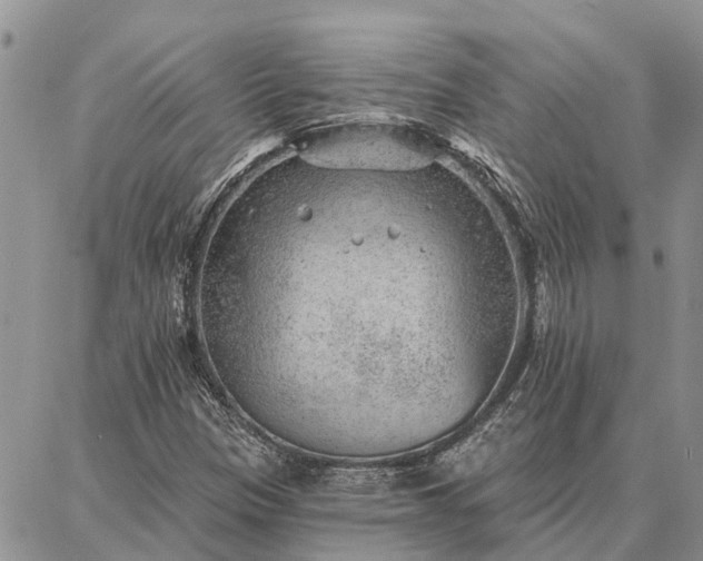 X0000086931305200704231320