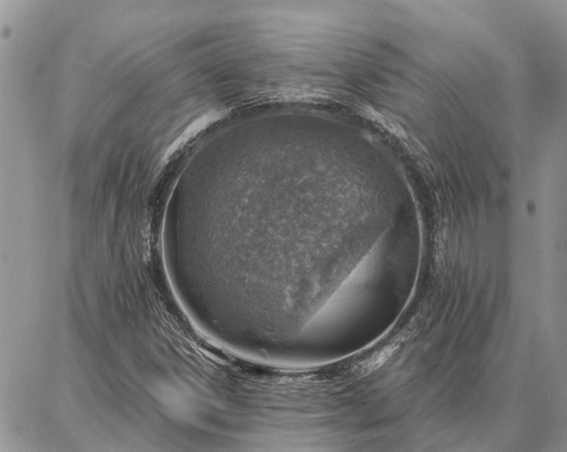 X0000086931306200704231320