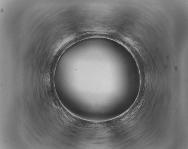 X0000086931307200704231320