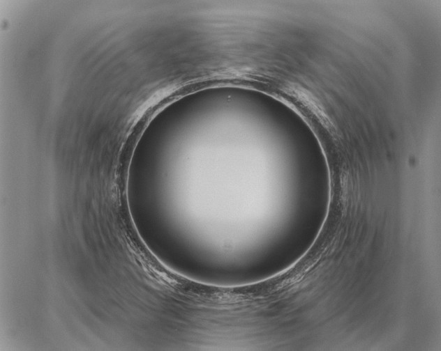 X0000086931308200704231320