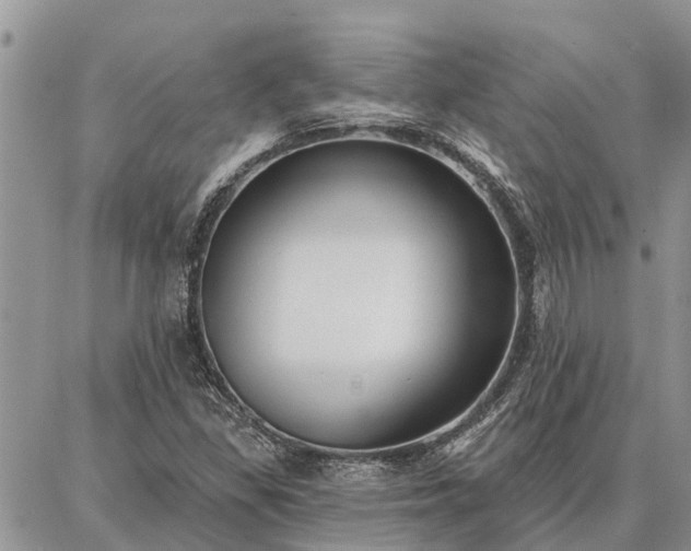 X0000086931309200704231320