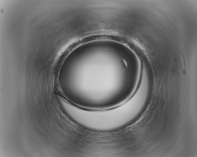 X0000086931310200704231320