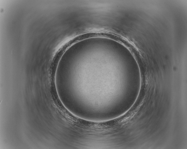 X0000086931311200704231320