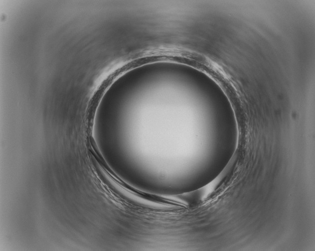 X0000086931312200704231320