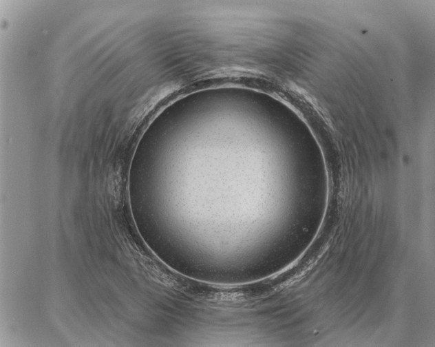 X0000086931313200704231320