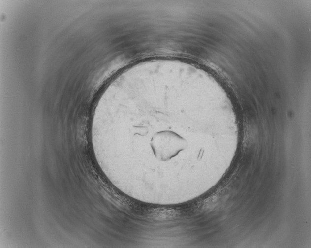 X0000086931314200704231320