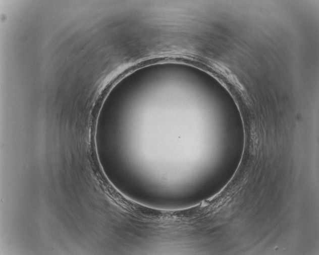 X0000086931316200704231320