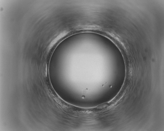 X0000086931317200704231320