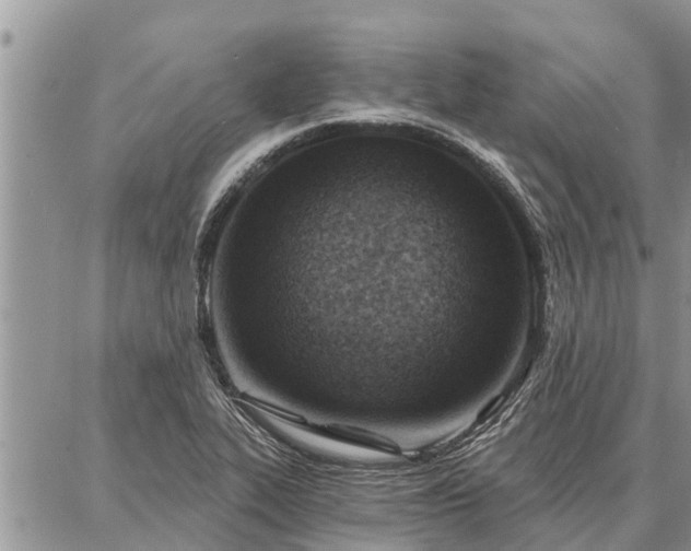 X0000086931319200704231320