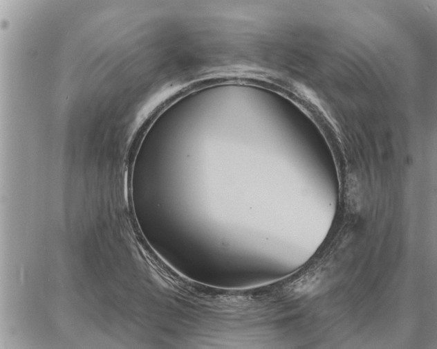 X0000086931320200704231320