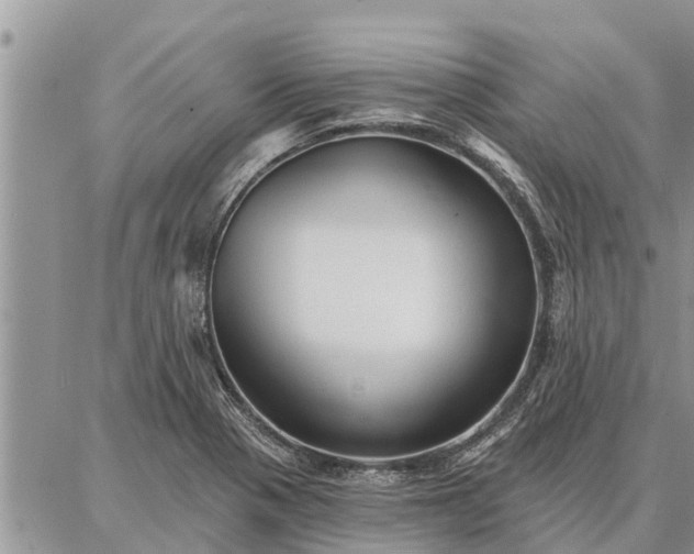 X0000086931321200704231320