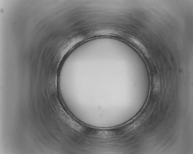 X0000086931322200704231320