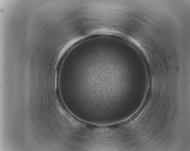 X0000086931323200704231320