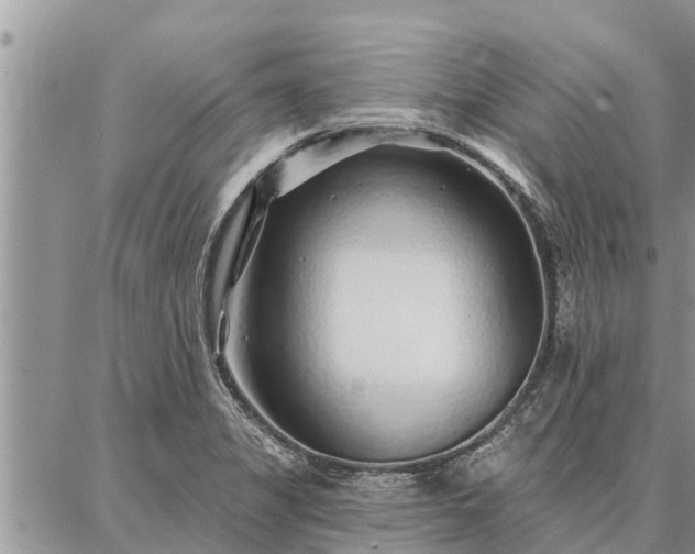 X0000086931325200704231320