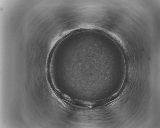 X0000086931327200704231320