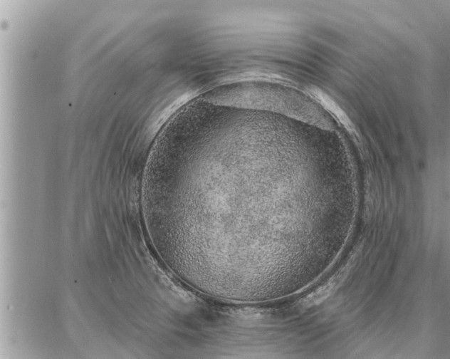 X0000086931329200704231320