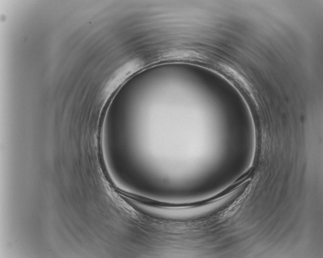 X0000086931330200704231321