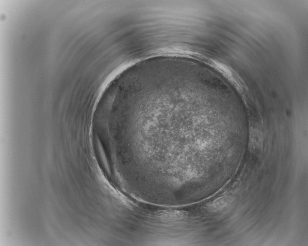 X0000086931331200704231321