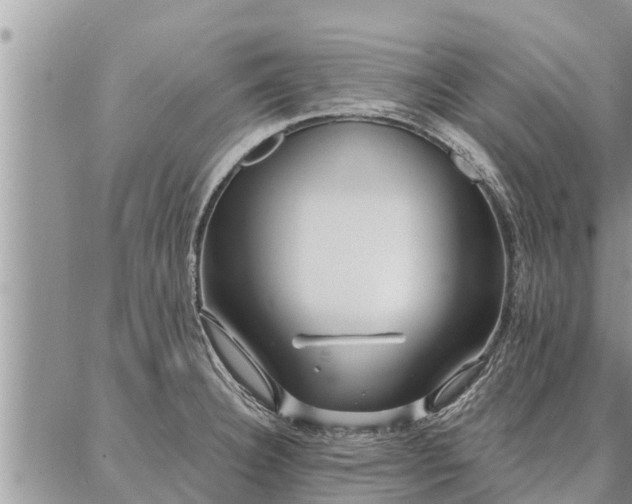 X0000086931332200704231321