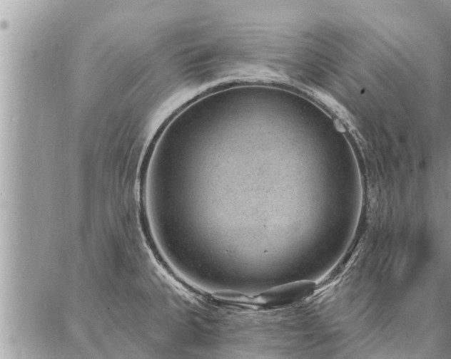 X0000086931335200704231321