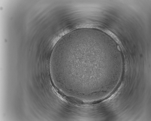 X0000086931337200704231321