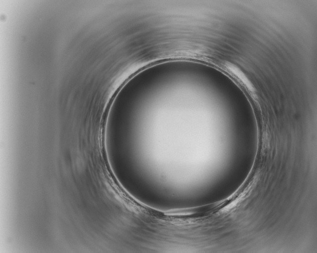 X0000086931340200704231321