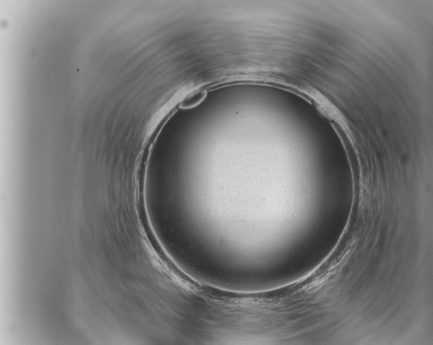 X0000086931341200704231321